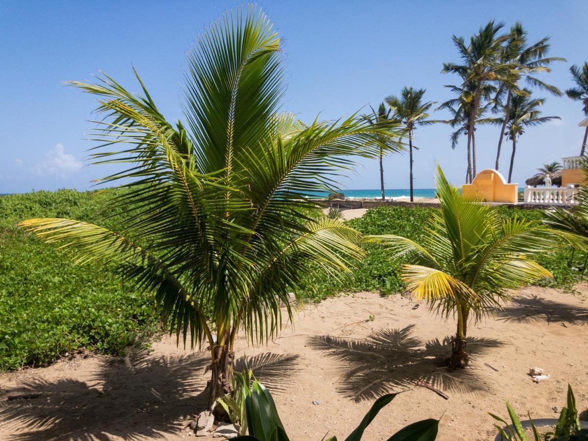 Apartamento Residencial Mañanero Cabarete Exterior foto